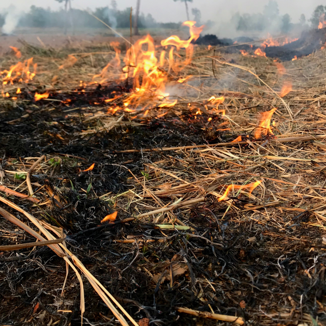 fireside scented candle fireside scented candle