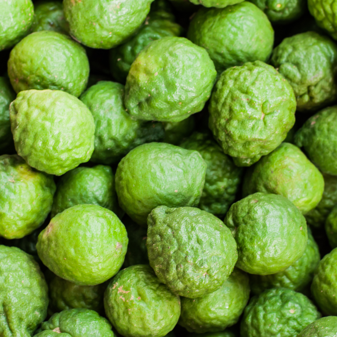 fireside scented candle fireside scented candle