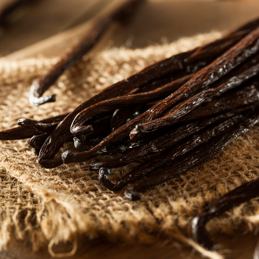 cashmere scented candle cashmere scented candle