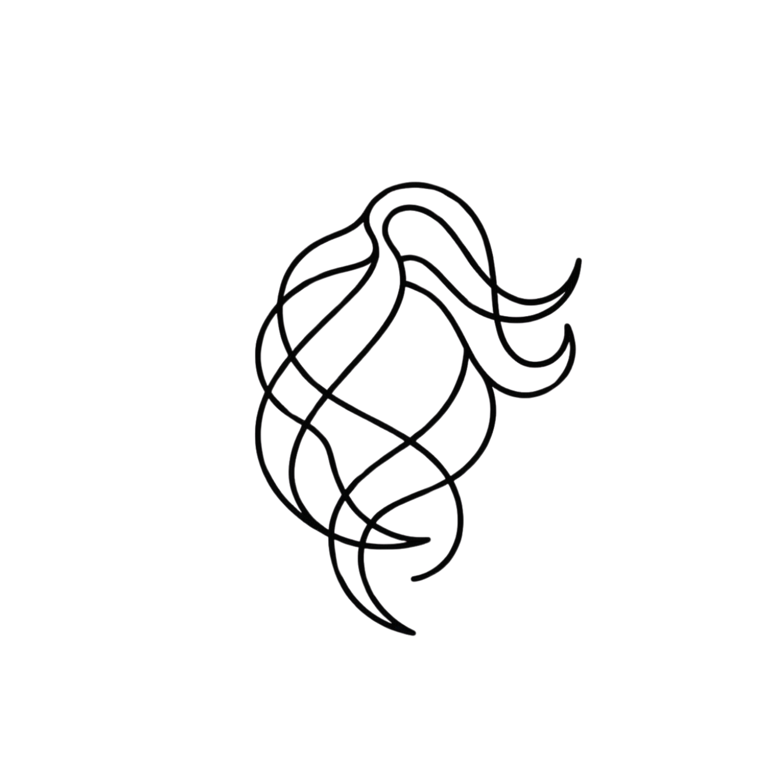 wura landing page hair icon